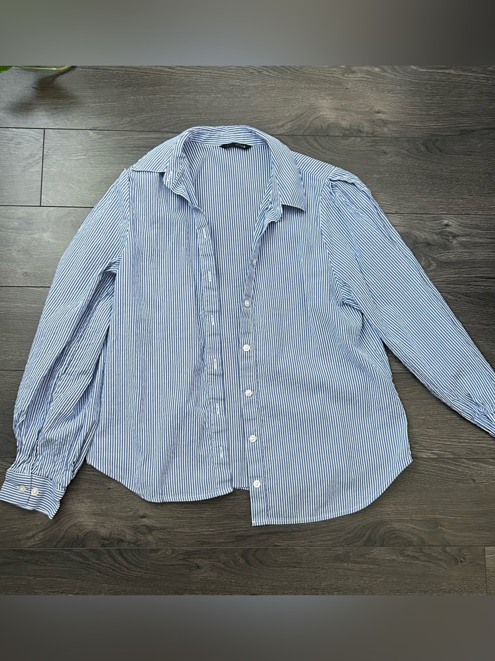 Zara Striped Button Down